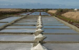 Lire la suite à propos de l’article Que faire à Guérande ? Des idées d’activités atypiques, même quand il pleut